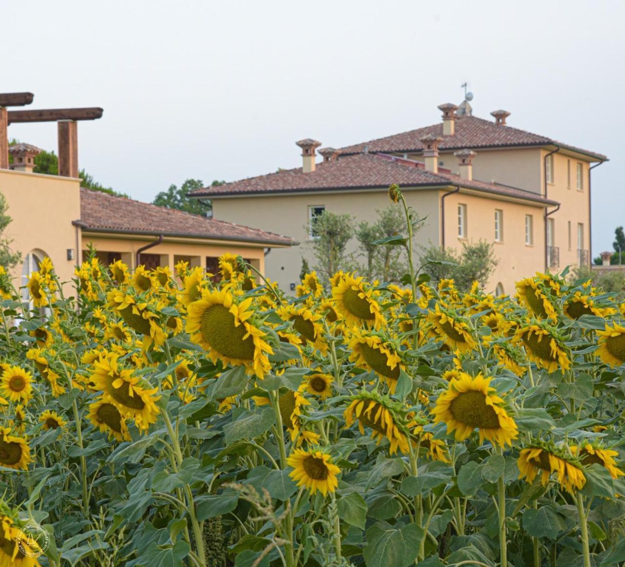 Agriturismo Villa Toscana Campiglia Marittima Bagian luar foto