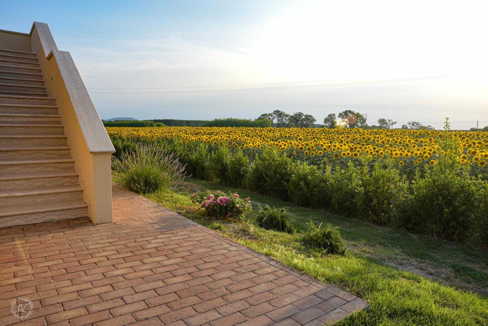 Agriturismo Villa Toscana Campiglia Marittima Bagian luar foto
