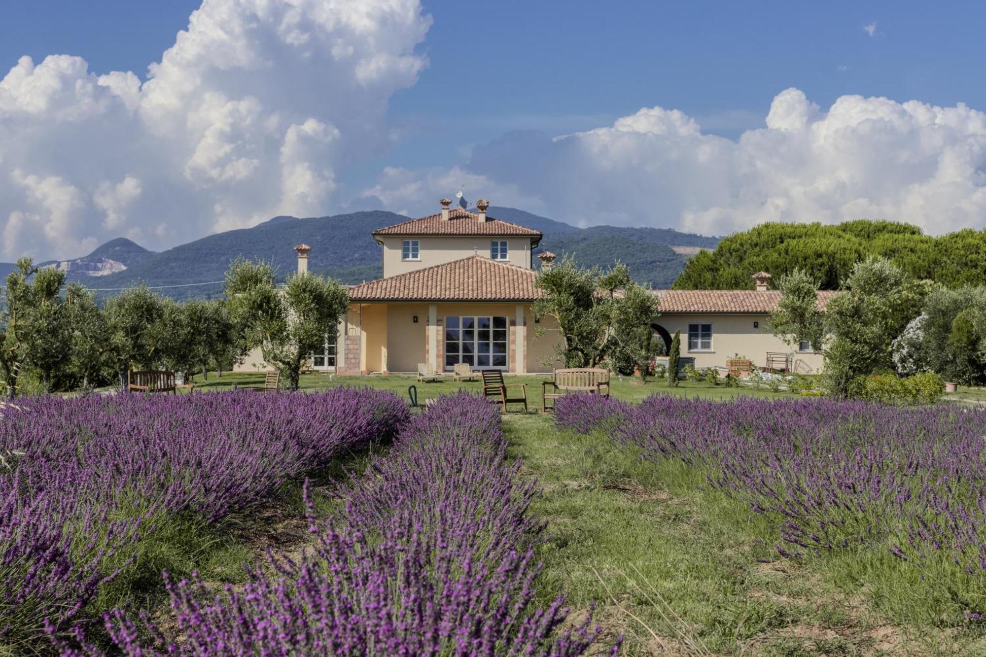 Agriturismo Villa Toscana Campiglia Marittima Bagian luar foto